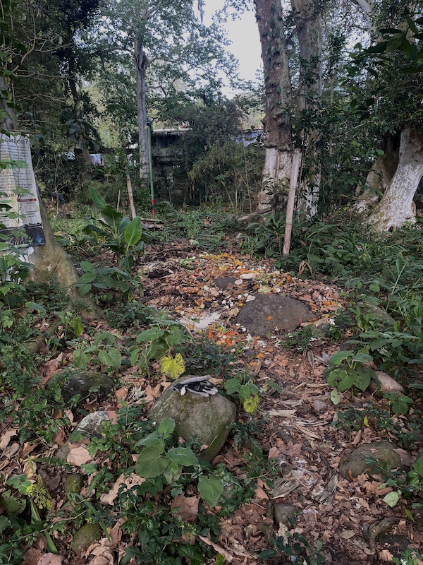 Área de compostaje antes
