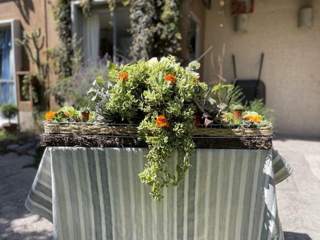 Jardín principal